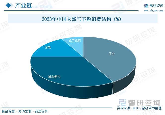 2023年中国天然气下游消费结构（%）