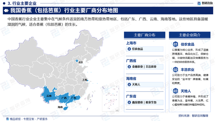 中国香蕉行业企业主要集中在气候条件适宜的南方热带和亚热带地区，包括广东、广西、云南、海南等地。这些地区具备温暖湿润的气候，适合香蕉（包括芭蕉）的生长。