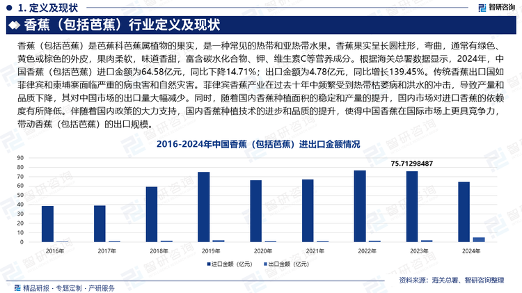 根据海关总署数据显示，2024年，中国香蕉（包括芭蕉）进口金额为64.58亿元，同比下降14.71%；出口金额为4.78亿元，同比增长139.45%。传统香蕉出口国如菲律宾和柬埔寨面临严重的病虫害和自然灾害。菲律宾香蕉产业在过去十年中频繁受到热带枯萎病和洪水的冲击，导致产量和品质下降，其对中国市场的出口量大幅减少。同时，随着国内香蕉种植面积的稳定和产量的提升，国内市场对进口香蕉的依赖度有所降低。伴随着国内政策的大力支持，国内香蕉种植技术的进步和品质的提升，使得中国香蕉在国际市场上更具竞争力，带动香蕉（包括芭蕉）的出口规模。