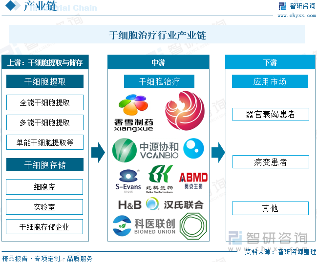 干细胞治疗行业产业链