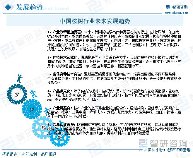 中国桉树行业未来发展趋势