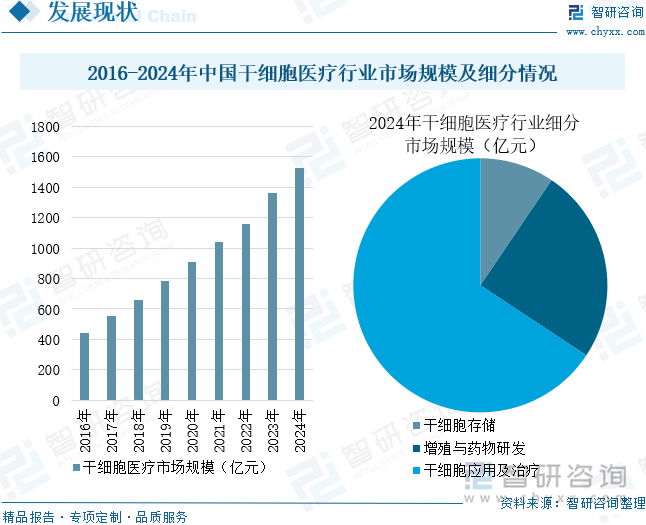 2016-2024年中国干细胞医疗行业市场规模及细分情况