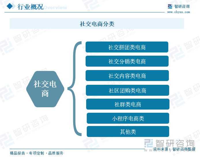 社交电商分类