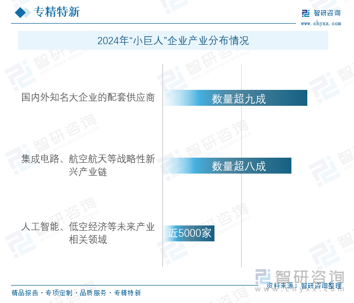 2024年“小巨人”企业产业分布情况