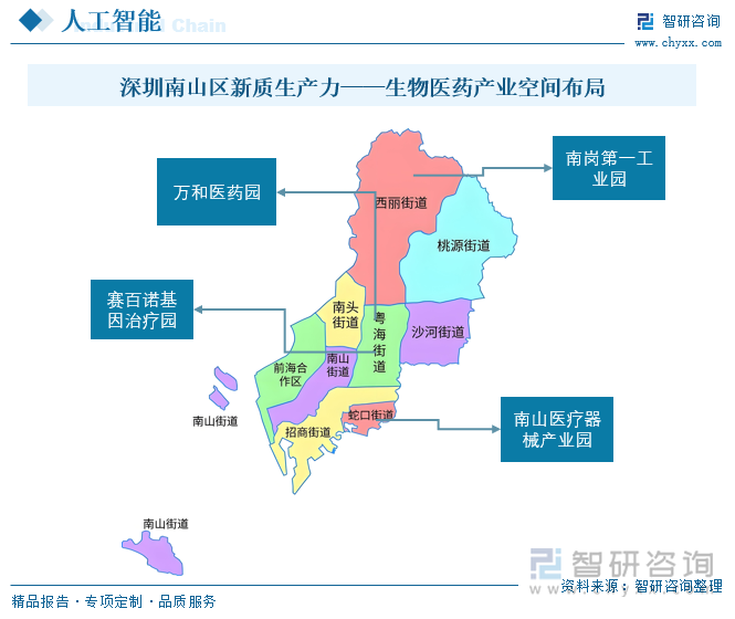 深圳南山区新质生产力——生物医药产业空间布局