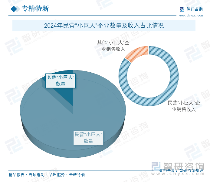 2024年民营“小巨人”企业数量及收入占比情况