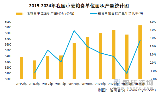 2015-2024年我國(guó)小麥糧食單位面積產(chǎn)量統(tǒng)計(jì)圖