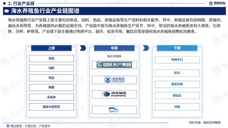 海水养殖鱼行业产业链上游主要包括鱼苗、饲料、药品、养殖设备等生产资料和相关服务，其中，养殖设备包括网箱、养殖池、循环水系统等，为养殖提供必要的设施支持。产业链中游为海水养殖鱼生产环节，其中，常见的海水养殖鱼类有大黄鱼、石斑鱼、牙鲆、鲈鱼等。产业链下游主要通过电商平台、超市、批发市场、餐饮店等渠道将海水养殖鱼销售给消费者。