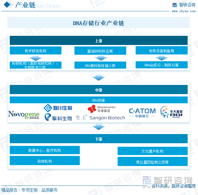 DNA存储行业产业链