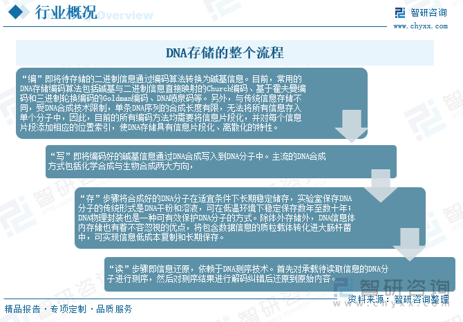 DNA存储的整个流程