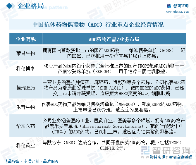 中国抗体药物偶联物（ADC）行业重点企业经营情况