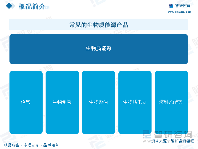 常见的生物质能源产品