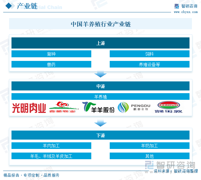 中国羊养殖行业产业链