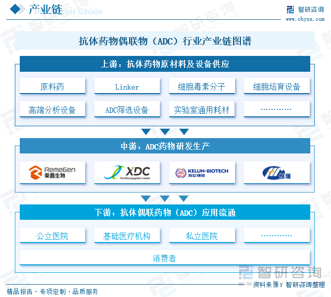 抗体药物偶联物（ADC）行业产业链图谱