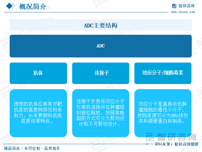 ADC主要结构