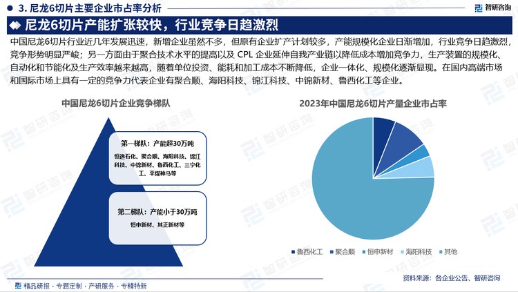 中國(guó)尼龍6切片行業(yè)近幾年發(fā)展迅速，新增企業(yè)雖然不多，但原有企業(yè)擴(kuò)產(chǎn)計(jì)劃較多，產(chǎn)能規(guī)模化企業(yè)日漸增加，行業(yè)競(jìng)爭(zhēng)日趨激烈，競(jìng)爭(zhēng)形勢(shì)明顯嚴(yán)峻；另一方面由于聚合技術(shù)水平的提高以及 CPL 企業(yè)延伸自我產(chǎn)業(yè)鏈以降低成本增加競(jìng)爭(zhēng)力，生產(chǎn)裝置的規(guī)?；?、自動(dòng)化和節(jié)能化及生產(chǎn)效率越來(lái)越高，隨著單位投資、能耗和加工成本不斷降低，企業(yè)一體化、規(guī)?；饾u顯現(xiàn)。在國(guó)內(nèi)高端市場(chǎng)和國(guó)際市場(chǎng)上具有一定的競(jìng)爭(zhēng)力代表企業(yè)有聚合順、海陽(yáng)科技、錦江科技、中錦新材、魯西化工等企業(yè)。
