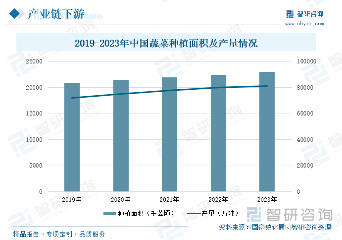 2019-2023年中国蔬菜种植面积及产量情况