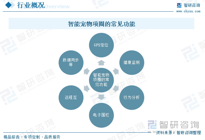 智能宠物项圈的常见功能