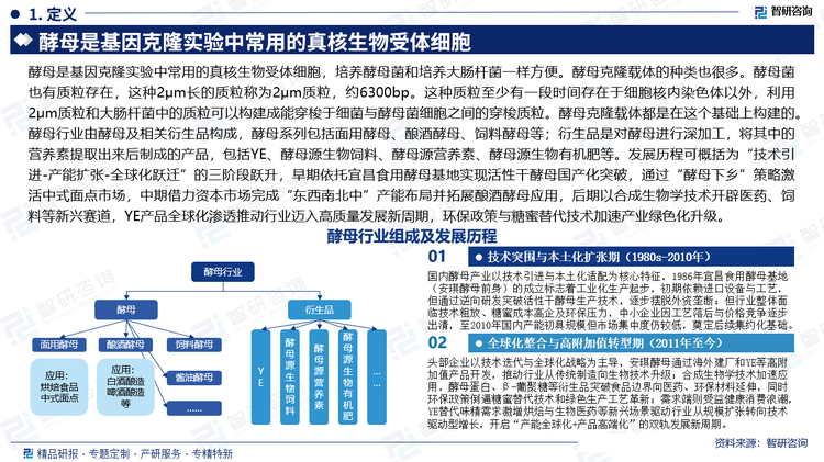 酵母是基因克隆实验中常用的真核生物受体细胞，培养酵母菌和培养大肠杆菌一样方便。酵母克隆载体的种类也很多。酵母菌也有质粒存在，这种2μm长的质粒称为2μm质粒，约6300bp。这种质粒至少有一段时间存在于细胞核内染色体以外，利用2μm质粒和大肠杆菌中的质粒可以构建成能穿梭于细菌与酵母菌细胞之间的穿梭质粒。酵母克隆载体都是在这个基础上构建的。酵母行业由酵母及相关衍生品构成，酵母系列包括面用酵母、酿酒酵母、饲料酵母等；衍生品是对酵母进行深加工，将其中的营养素提取出来后制成的产品，包括YE、酵母源生物饲料、酵母源营养素、酵母源生物有机肥等。发展历程可概括为“技术引进-产能扩张-全球化跃迁”的三阶段跃升，早期依托宜昌食用酵母基地实现活性干酵母国产化突破，通过“酵母下乡”策略激活中式面点市场，中期借力资本市场完成“东西南北中”产能布局并拓展酿酒酵母应用，后期以合成生物学技术开辟医药、饲料等新兴赛道，YE产品全球化渗透推动行业迈入高质量发展新周期，环保政策与糖蜜替代技术加速产业绿色化升级。