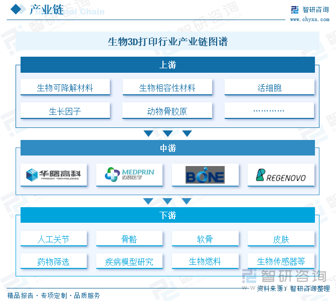 生物3D打印行业产业链图谱