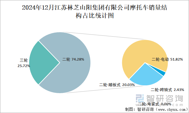 2024年12月江苏林芝山阳集团有限公司摩托车销量结构占比统计图