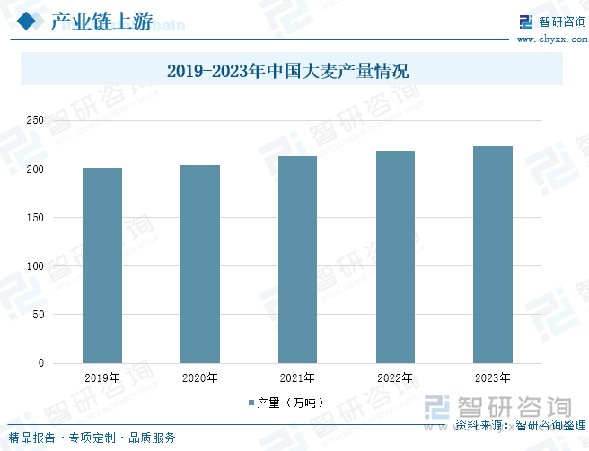 2019-2023年中国大麦产量情况