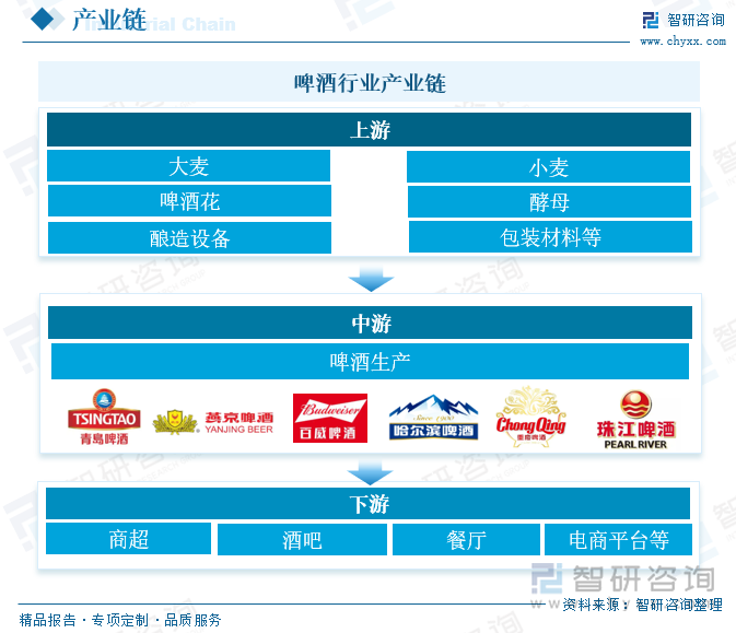 啤酒行業(yè)產(chǎn)業(yè)鏈