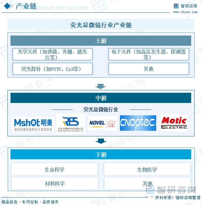 荧光显微镜行业产业链