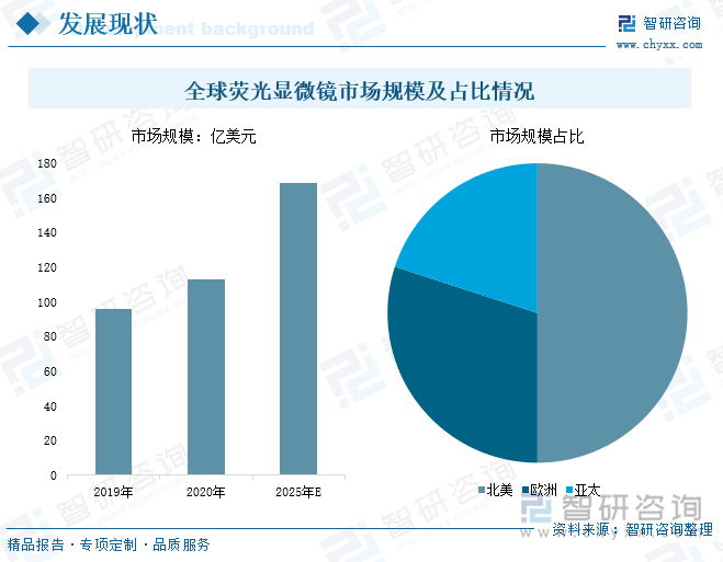 全球荧光显微镜市场规模及占比情况