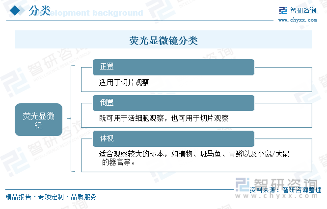 荧光显微镜分类