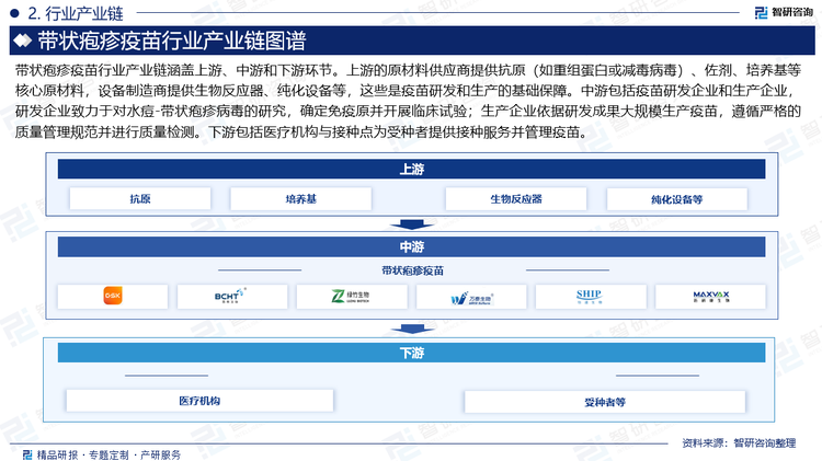 帶狀皰疹疫苗行業(yè)產(chǎn)業(yè)鏈涵蓋上游、中游和下游環(huán)節(jié)。上游的原材料供應(yīng)商提供抗原（如重組蛋白或減毒病毒）、佐劑、培養(yǎng)基等核心原材料，設(shè)備制造商提供生物反應(yīng)器、純化設(shè)備等，這些是疫苗研發(fā)和生產(chǎn)的基礎(chǔ)保障。中游包括疫苗研發(fā)企業(yè)和生產(chǎn)企業(yè)，研發(fā)企業(yè)致力于對水痘-帶狀皰疹病毒的研究，確定免疫原并開展臨床試驗；生產(chǎn)企業(yè)依據(jù)研發(fā)成果大規(guī)模生產(chǎn)疫苗，遵循嚴(yán)格的質(zhì)量管理規(guī)范并進(jìn)行質(zhì)量檢測。下游包括醫(yī)療機(jī)構(gòu)與接種點為受種者提供接種服務(wù)并管理疫苗。