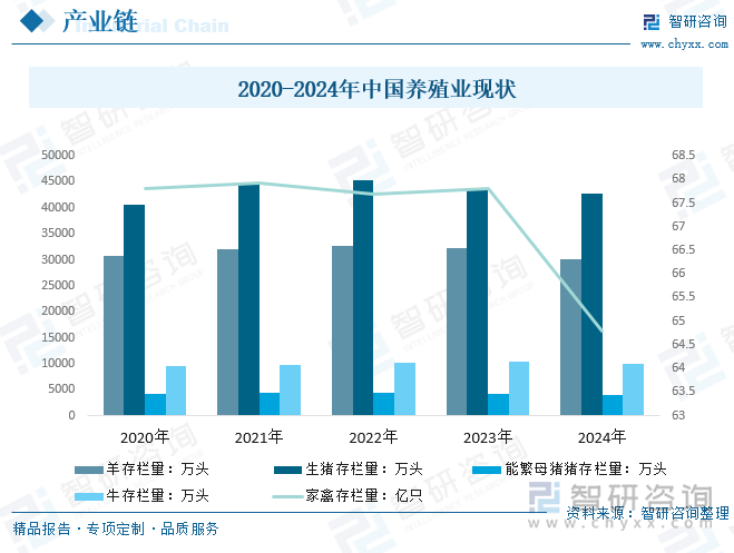 2020-2024年中國養(yǎng)殖業(yè)現(xiàn)狀