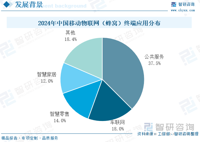 2024年中國移動物聯(lián)網(wǎng)（蜂窩）終端應(yīng)用分布