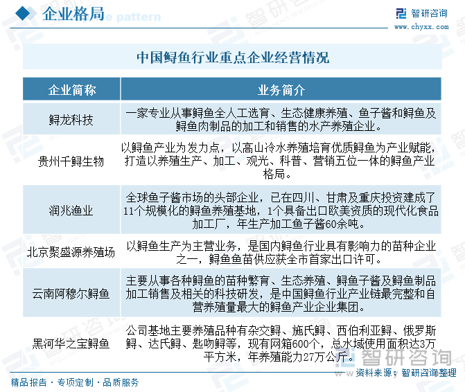 中國鱘魚行業(yè)重點企業(yè)經(jīng)營情況