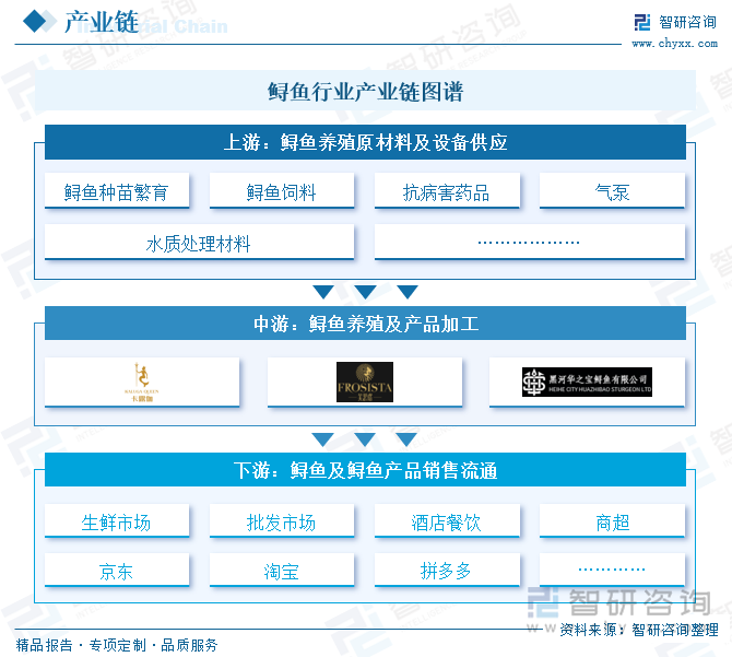 鱘魚行業(yè)產(chǎn)業(yè)鏈圖譜