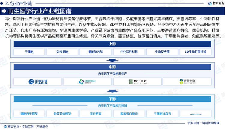 再生醫(yī)學(xué)行業(yè)產(chǎn)業(yè)鏈上游為原材料與設(shè)備供應(yīng)環(huán)節(jié)，主要包括干細(xì)胞（如臍帶血造血干細(xì)胞）、免疫細(xì)胞等細(xì)胞采集與儲(chǔ)存，細(xì)胞培養(yǎng)基、生物活性材料、基因工程試劑等生物材料與試劑生產(chǎn)，以及生物反應(yīng)器、3D生物打印機(jī)等醫(yī)學(xué)設(shè)備。產(chǎn)業(yè)鏈中游為再生醫(yī)學(xué)產(chǎn)品的研發(fā)生產(chǎn)環(huán)節(jié)，代表廠(chǎng)商有正海生物、華源再生醫(yī)學(xué)、冠昊生物、邁普醫(yī)學(xué)等。產(chǎn)業(yè)鏈下游為再生醫(yī)學(xué)產(chǎn)品應(yīng)用環(huán)節(jié)，主要通過(guò)醫(yī)療機(jī)構(gòu)、醫(yī)美機(jī)構(gòu)、科研機(jī)構(gòu)等機(jī)構(gòu)將再生醫(yī)學(xué)產(chǎn)品應(yīng)用至細(xì)胞再生修復(fù)、骨關(guān)節(jié)炎修復(fù)、器官修復(fù)、人工心臟瓣膜移植、膠原蛋白填充、干細(xì)胞抗衰老、免疫系統(tǒng)重建、器官移植等多個(gè)領(lǐng)域。