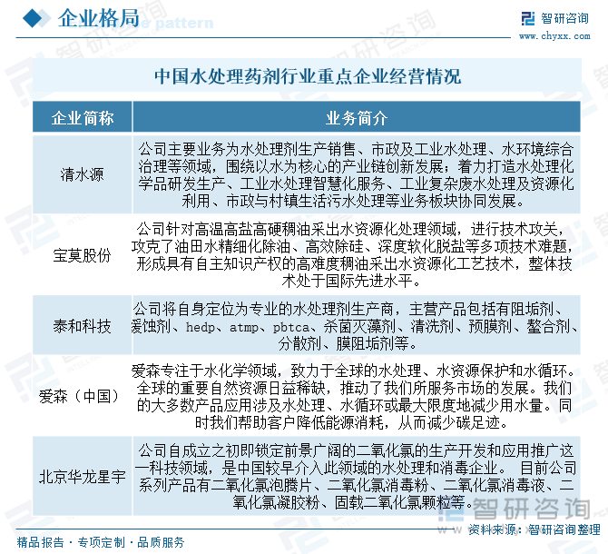 中國水處理藥劑行業(yè)重點企業(yè)經營情況