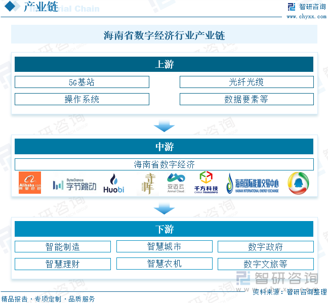 海南省数字经济行业产业链