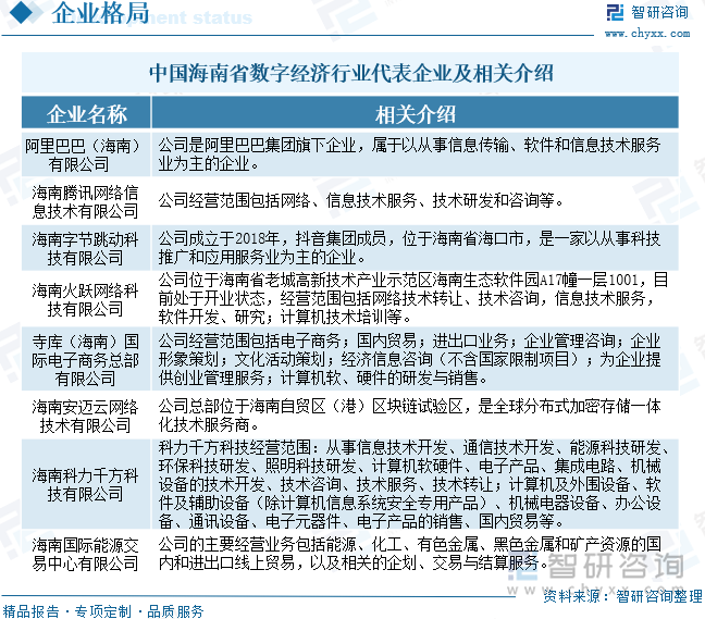 中国海南省数字经济行业代表企业及相关介绍