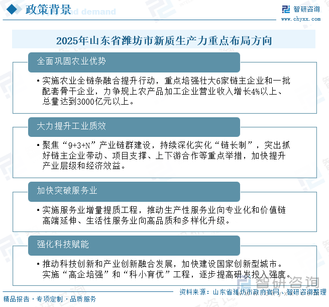 2025年山東省濰坊市新質(zhì)生產(chǎn)力重點(diǎn)布局方向
