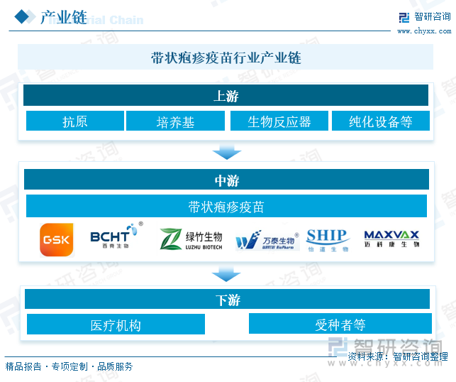 帶狀皰疹疫苗行業(yè)產(chǎn)業(yè)鏈 