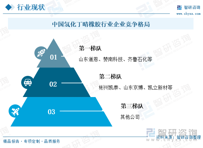 中國氫化丁晴橡膠行業(yè)企業(yè)競爭格局