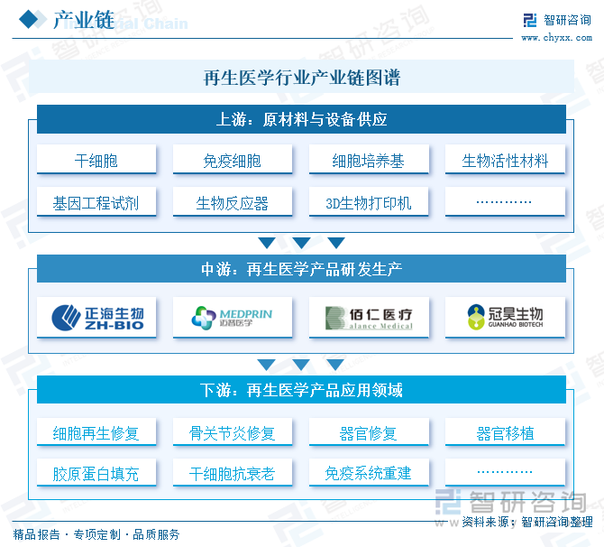 再生醫(yī)學(xué)行業(yè)產(chǎn)業(yè)鏈圖譜