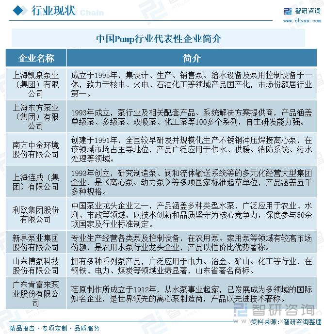 中國Pump行業(yè)代表性企業(yè)簡介