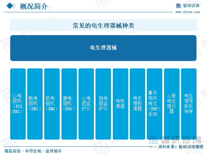 常見的電生理器械種類