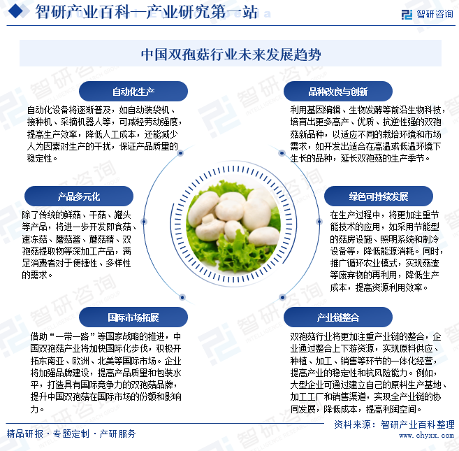 中國雙孢菇行業(yè)未來發(fā)展趨勢