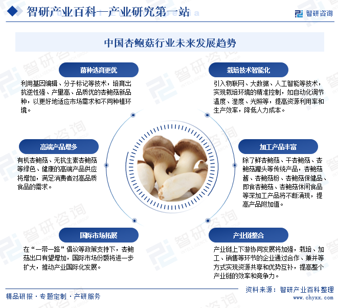 中國(guó)杏鮑菇行業(yè)未來(lái)發(fā)展趨勢(shì)