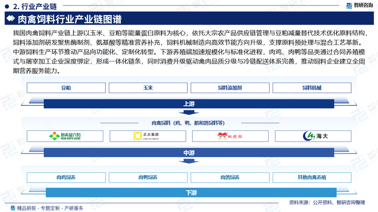 我國(guó)蛋禽飼料產(chǎn)業(yè)鏈上游以玉米、豆粕等大宗原料供應(yīng)為核心，通過(guò)國(guó)內(nèi)外多元采購(gòu)渠道和綠色加工技術(shù)提升原料質(zhì)量穩(wěn)定性，同時(shí)借助種植基地建設(shè)與供應(yīng)鏈優(yōu)化降低價(jià)格波動(dòng)風(fēng)險(xiǎn)。中游飼料加工環(huán)節(jié)重點(diǎn)推進(jìn)低蛋白日糧、功能性添加劑研發(fā)及環(huán)保工藝應(yīng)用，形成全價(jià)料、預(yù)混料等多元化產(chǎn)品體系，通過(guò)電商平臺(tái)與區(qū)域銷售網(wǎng)絡(luò)滲透。下游養(yǎng)殖端加速規(guī)?；D(zhuǎn)型，以料蛋比優(yōu)化和疫病防控升級(jí)提升生產(chǎn)效率，同時(shí)受消費(fèi)市場(chǎng)南移驅(qū)動(dòng)，廣東、廣西等南方產(chǎn)區(qū)通過(guò)西移戰(zhàn)略承接產(chǎn)能，推動(dòng)養(yǎng)殖與加工環(huán)節(jié)深度融合。