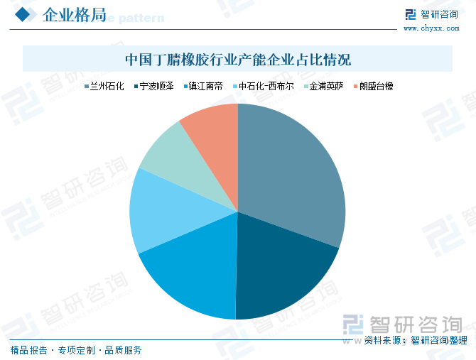 中國(guó)丁腈橡膠行業(yè)產(chǎn)能企業(yè)占比情況
