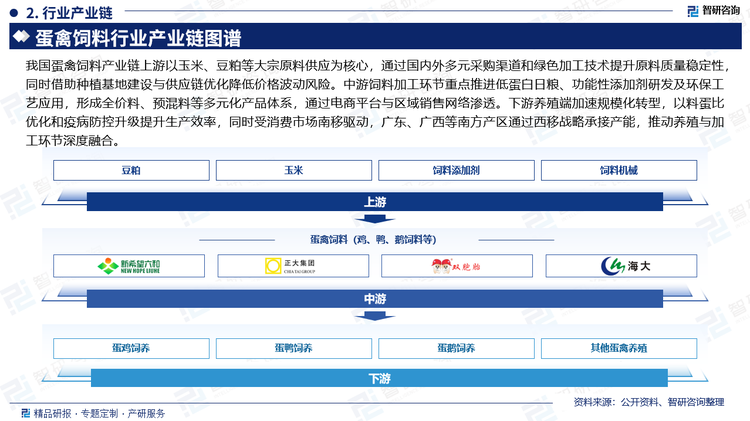 我國蛋禽飼料產(chǎn)業(yè)鏈上游以玉米、豆粕等大宗原料供應(yīng)為核心，通過國內(nèi)外多元采購渠道和綠色加工技術(shù)提升原料質(zhì)量穩(wěn)定性，同時借助種植基地建設(shè)與供應(yīng)鏈優(yōu)化降低價格波動風(fēng)險。中游飼料加工環(huán)節(jié)重點推進低蛋白日糧、功能性添加劑研發(fā)及環(huán)保工藝應(yīng)用，形成全價料、預(yù)混料等多元化產(chǎn)品體系，通過電商平臺與區(qū)域銷售網(wǎng)絡(luò)滲透。下游養(yǎng)殖端加速規(guī)?；D(zhuǎn)型，以料蛋比優(yōu)化和疫病防控升級提升生產(chǎn)效率，同時受消費市場南移驅(qū)動，廣東、廣西等南方產(chǎn)區(qū)通過西移戰(zhàn)略承接產(chǎn)能，推動養(yǎng)殖與加工環(huán)節(jié)深度融合。